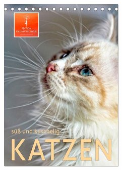 Katzen - süß und kuschelig (Tischkalender 2025 DIN A5 hoch), CALVENDO Monatskalender