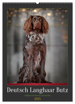 Deutsch Langhaar Butz - Jagdhund mit Passion und Herzblut (Wandkalender 2025 DIN A2 hoch), CALVENDO Monatskalender