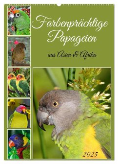 Farbenprächtige Papageien aus Asien und Afrika (Wandkalender 2025 DIN A2 hoch), CALVENDO Monatskalender