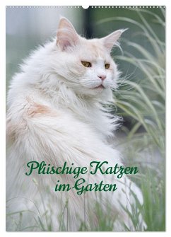 Plüschige Katzen im Garten (Wandkalender 2025 DIN A2 hoch), CALVENDO Monatskalender - Calvendo;Heyde, Wiebke von der