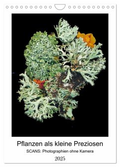 Pflanzen als kleine Preziosen (Wandkalender 2025 DIN A4 hoch), CALVENDO Monatskalender