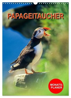 Papageitaucher Monatsplaner (Wandkalender 2025 DIN A3 hoch), CALVENDO Monatskalender