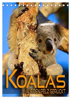 Koalas auf den Pelz gerückt (Tischkalender 2025 DIN A5 hoch), CALVENDO Monatskalender