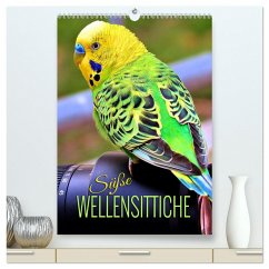 Süße Wellensittiche (hochwertiger Premium Wandkalender 2025 DIN A2 hoch), Kunstdruck in Hochglanz - Calvendo;Utz, Renate