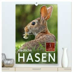 Niedliche Hasen (hochwertiger Premium Wandkalender 2025 DIN A2 hoch), Kunstdruck in Hochglanz - Calvendo;Roder, Peter