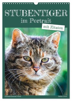 Stubentiger im Portrait (Wandkalender 2025 DIN A3 hoch), CALVENDO Monatskalender