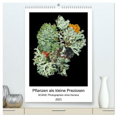 Pflanzen als kleine Preziosen (hochwertiger Premium Wandkalender 2025 DIN A2 hoch), Kunstdruck in Hochglanz