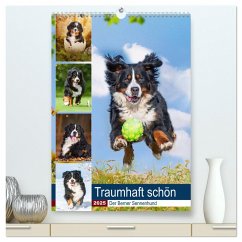 Traumhaft schön - Der Berner Sennenhund (hochwertiger Premium Wandkalender 2025 DIN A2 hoch), Kunstdruck in Hochglanz