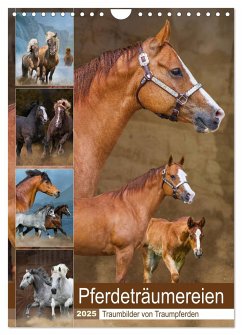 Pferdeträumereien - Traumbilder von Traumpferden (Wandkalender 2025 DIN A4 hoch), CALVENDO Monatskalender