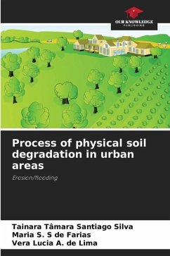 Process of physical soil degradation in urban areas - Santiago Silva, Tainara Tâmara;S. S de Farias, Maria;A. de Lima, Vera Lúcia