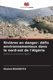 Rivières en danger: défis environnementaux dans le nord-est de l'Algérie