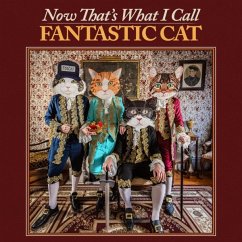 Now That'S What I Call Fantastic Cat - Fantastic Cat