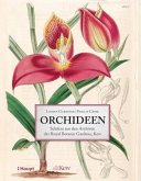 Orchideen (Restauflage)