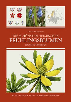 Die schönsten heimischen Frühlingsblumen  - Tackenberg, Oliver