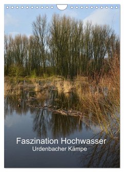 Faszination Hochwasser - Urdenbacher Kämpe (Wandkalender 2025 DIN A4 hoch), CALVENDO Monatskalender