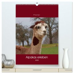 Alpakas erleben (hochwertiger Premium Wandkalender 2025 DIN A2 hoch), Kunstdruck in Hochglanz