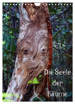Die Seele der Bäume (Wandkalender 2025 DIN A4 hoch), CALVENDO Monatskalender - Calvendo;Struve, Andreas