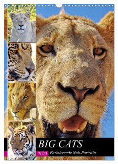 BIG CATS Fazinierende Nah-Portraits (Wandkalender 2025 DIN A3 hoch), CALVENDO Monatskalender - Calvendo;Fraatz, Barbara