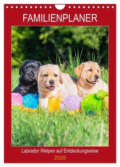 Familienplaner - Labrador Welpen entdecken die Welt (Wandkalender 2025 DIN A4 hoch), CALVENDO Monatskalender - Calvendo;Starick, Sigrid