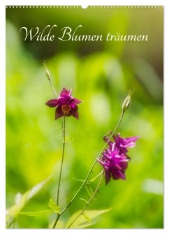 Wilde Blumen träumen (Wandkalender 2025 DIN A2 hoch), CALVENDO Monatskalender - Calvendo;Clemens Stenner, ©
