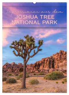 Impressionen aus dem JOSHUA TREE NATIONAL PARK (Wandkalender 2025 DIN A2 hoch), CALVENDO Monatskalender - Calvendo;Viola, Melanie
