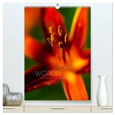 Makro World (hochwertiger Premium Wandkalender 2025 DIN A2 hoch), Kunstdruck in Hochglanz