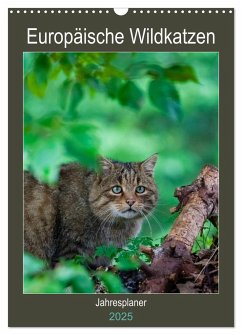 Europäische Wildkatzen - Jahresplaner (Wandkalender 2025 DIN A3 hoch), CALVENDO Monatskalender