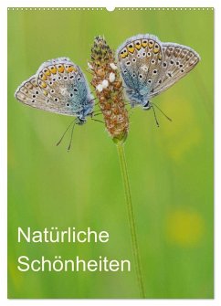 Insekten,Schönheiten der Natur (Wandkalender 2025 DIN A2 hoch), CALVENDO Monatskalender