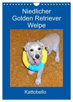 Niedlicher Golden Retriever Welpe (Wandkalender 2025 DIN A4 hoch), CALVENDO Monatskalender - Calvendo;Kattobello