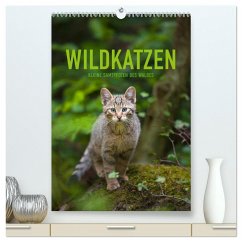 Wildkatzen - Kleine Samtpfoten des Waldes (hochwertiger Premium Wandkalender 2025 DIN A2 hoch), Kunstdruck in Hochglanz