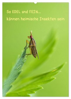 So EDEL und FEIN... können heimische Insekten sein (Wandkalender 2025 DIN A2 hoch), CALVENDO Monatskalender - Calvendo;Berger (Kabefa), Karin