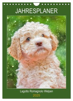 Jahresplaner Lagotto Romagnolo Welpen (Wandkalender 2025 DIN A4 hoch), CALVENDO Monatskalender - Calvendo;Starick, Sigrid