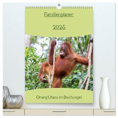 Familienplaner 2025 - Orang Utans im Dschungel (hochwertiger Premium Wandkalender 2025 DIN A2 hoch), Kunstdruck in Hochglanz - Calvendo;Heiss Photography, Daniel