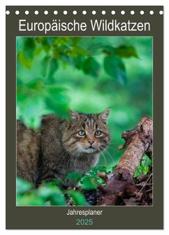 Europäische Wildkatzen - Jahresplaner (Tischkalender 2025 DIN A5 hoch), CALVENDO Monatskalender