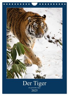Der Tiger - ein gestreifter Jäger (Wandkalender 2025 DIN A4 hoch), CALVENDO Monatskalender - Calvendo;the Snow Leopard, Cloudtail