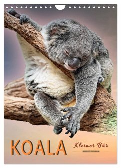 Koala, kleiner Bär (Wandkalender 2025 DIN A4 hoch), CALVENDO Monatskalender