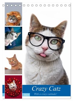 Crazy Catz. (Tischkalender 2025 DIN A5 hoch), CALVENDO Monatskalender