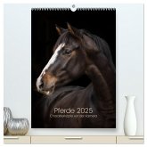 Pferde 2025 - Charakterköpfe vor der Kamera (hochwertiger Premium Wandkalender 2025 DIN A2 hoch), Kunstdruck in Hochglanz