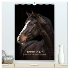 Pferde 2025 - Charakterköpfe vor der Kamera (hochwertiger Premium Wandkalender 2025 DIN A2 hoch), Kunstdruck in Hochglanz - Calvendo;Müller, Paula