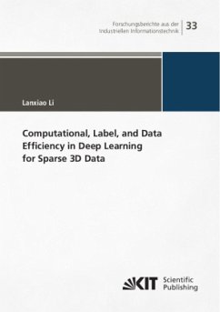 Computational, Label, and Data Efficiency in Deep Learning for Sparse 3D Data - Li, Lanxiao