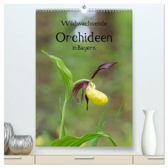 Wildwachsende Orchideen in Bayern (hochwertiger Premium Wandkalender 2025 DIN A2 hoch), Kunstdruck in Hochglanz