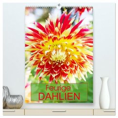 Feurige Dahlien (hochwertiger Premium Wandkalender 2025 DIN A2 hoch), Kunstdruck in Hochglanz - Calvendo;Kruse, Gisela