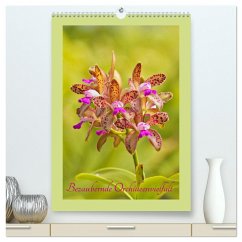 Bezaubernde Orchideenvielfalt (hochwertiger Premium Wandkalender 2025 DIN A2 hoch), Kunstdruck in Hochglanz