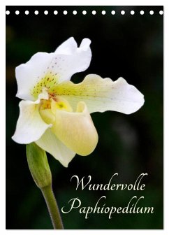 Wundervolle Paphiopedilum (Tischkalender 2025 DIN A5 hoch), CALVENDO Monatskalender