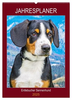 Jahresplaner Entlebucher Sennenhund (Wandkalender 2025 DIN A2 hoch), CALVENDO Monatskalender