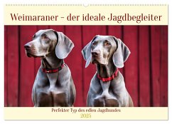 Weimaraner - der ideale Jagdbegleiter (Wandkalender 2025 DIN A2 quer), CALVENDO Monatskalender - Calvendo;Kleemann, Claudia