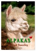 Alpakas - süß und flauschig (Wandkalender 2025 DIN A2 hoch), CALVENDO Monatskalender