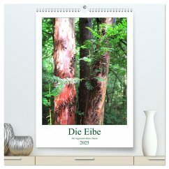 Die Eibe - Der sagenumwobene Baum (hochwertiger Premium Wandkalender 2025 DIN A2 hoch), Kunstdruck in Hochglanz