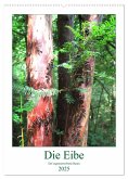 Die Eibe - Der sagenumwobene Baum (Wandkalender 2025 DIN A2 hoch), CALVENDO Monatskalender