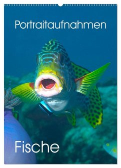 Portraitaufnahmen - Fische (Wandkalender 2025 DIN A2 hoch), CALVENDO Monatskalender